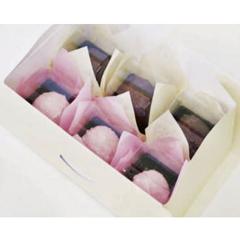 食品包装シート パラカラ