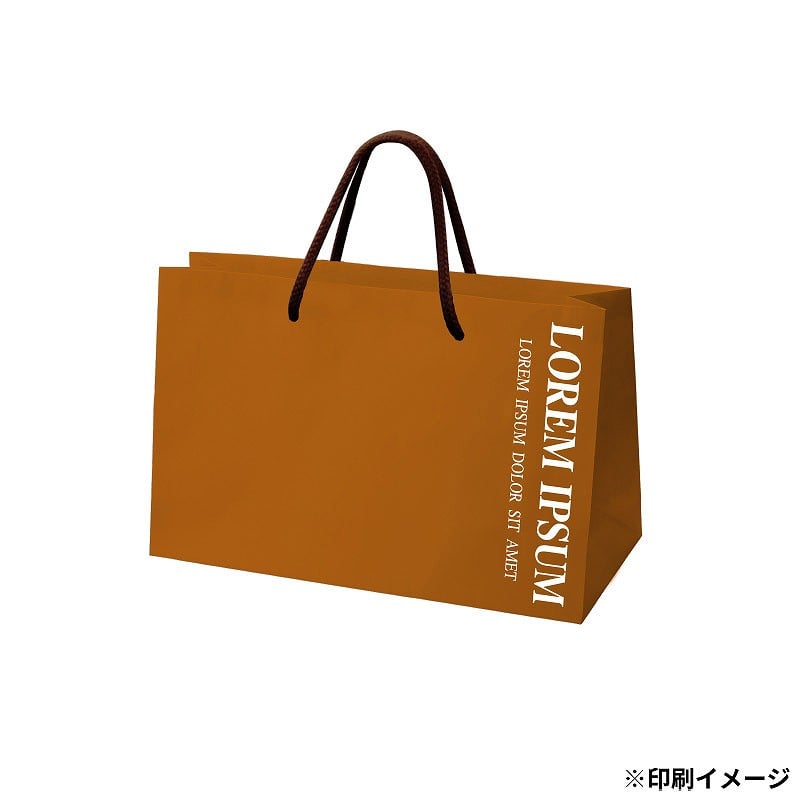 【オリジナル印刷】特注TCB 高級手提げ袋 250×90×180 1色 ベタ有 500枚