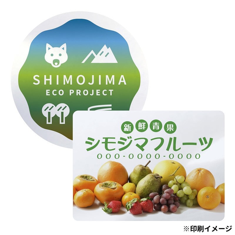 【オリジナル印刷】 特注シール(エンビ) 縦横の寸法合計100mm以内 100枚 フルカラー 1式