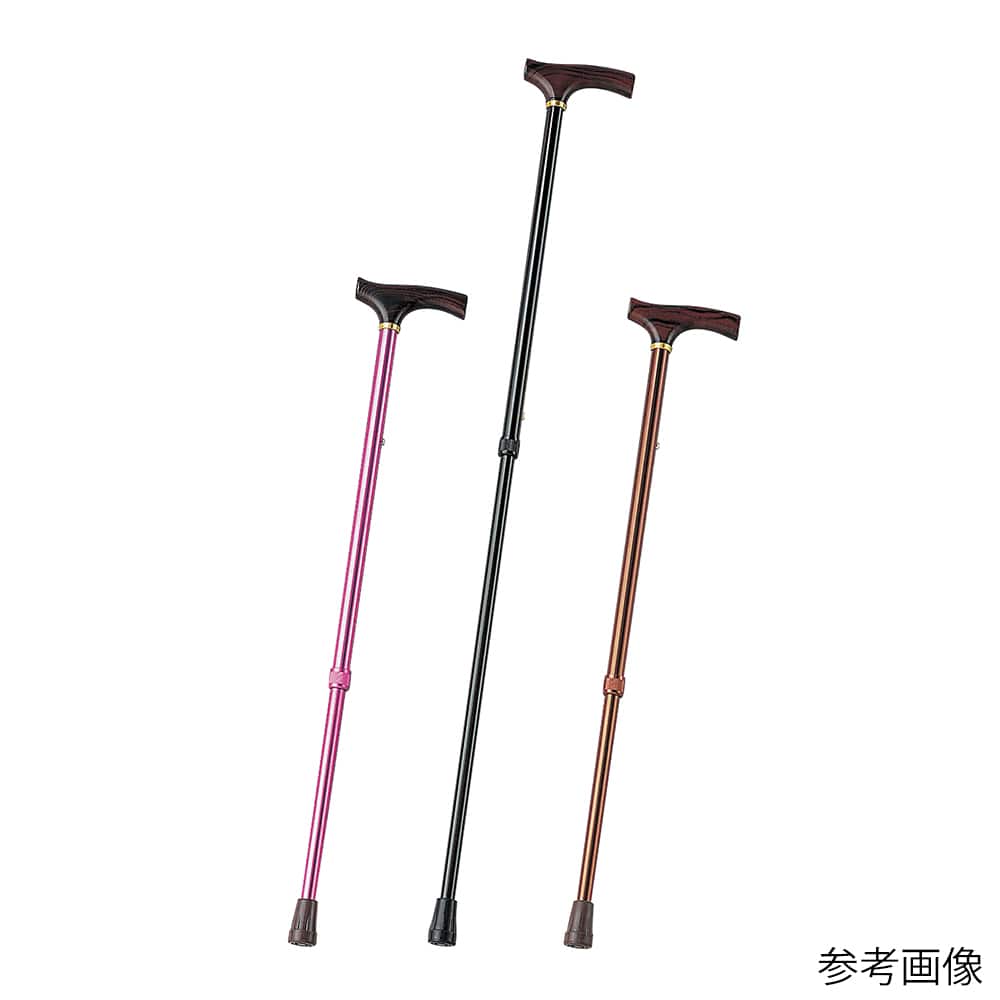 アズワン カラーステッキ（伸縮式）ブラウン　AS-225-BR-21DGN 1本（ご注文単位1本）【直送品】