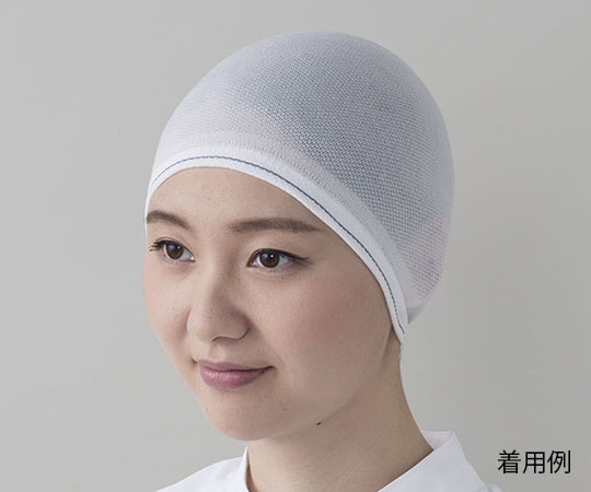 東洋リントフリー 毛髪落下防止ヘアネット(男女兼用) 袋型 10枚入 1袋(ご注文単位1袋)【直送品】