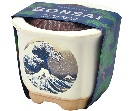 聖新陶芸 JAPANESE BONSAI 波富士 GD-64003 1個(ご注文単位1個)【直送品】