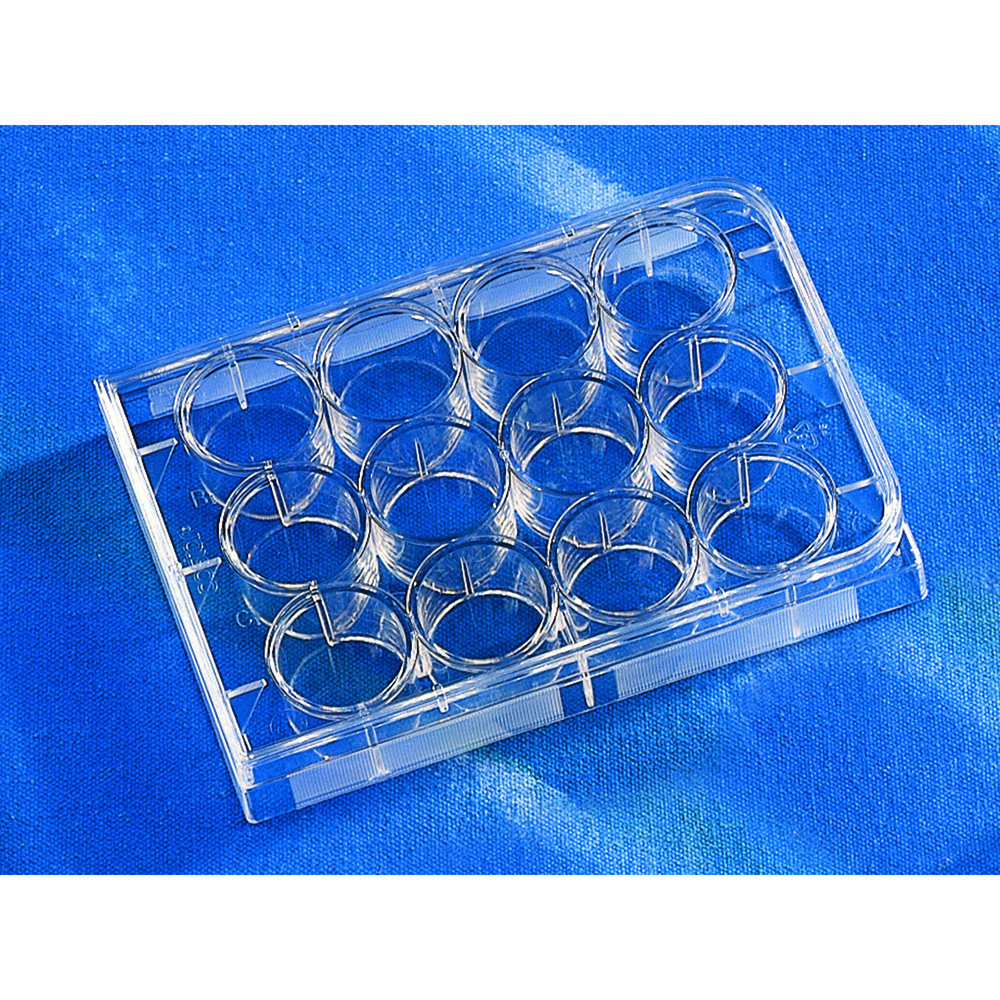 Corning(Falcon) マルチプルウェルプレート 12ウェル 平底 1箱(1枚×50袋入) 3513 1箱(ご注文単位1箱)【直送品】