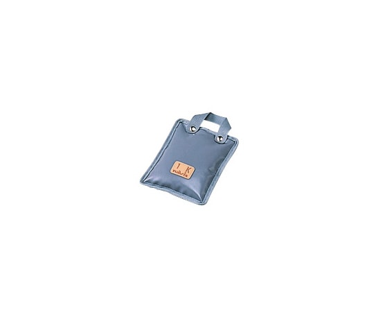 アズワン 砂袋 手提式1kg 200×160グレー 1kg(手提式) 1個(ご注文単位1個)【直送品】