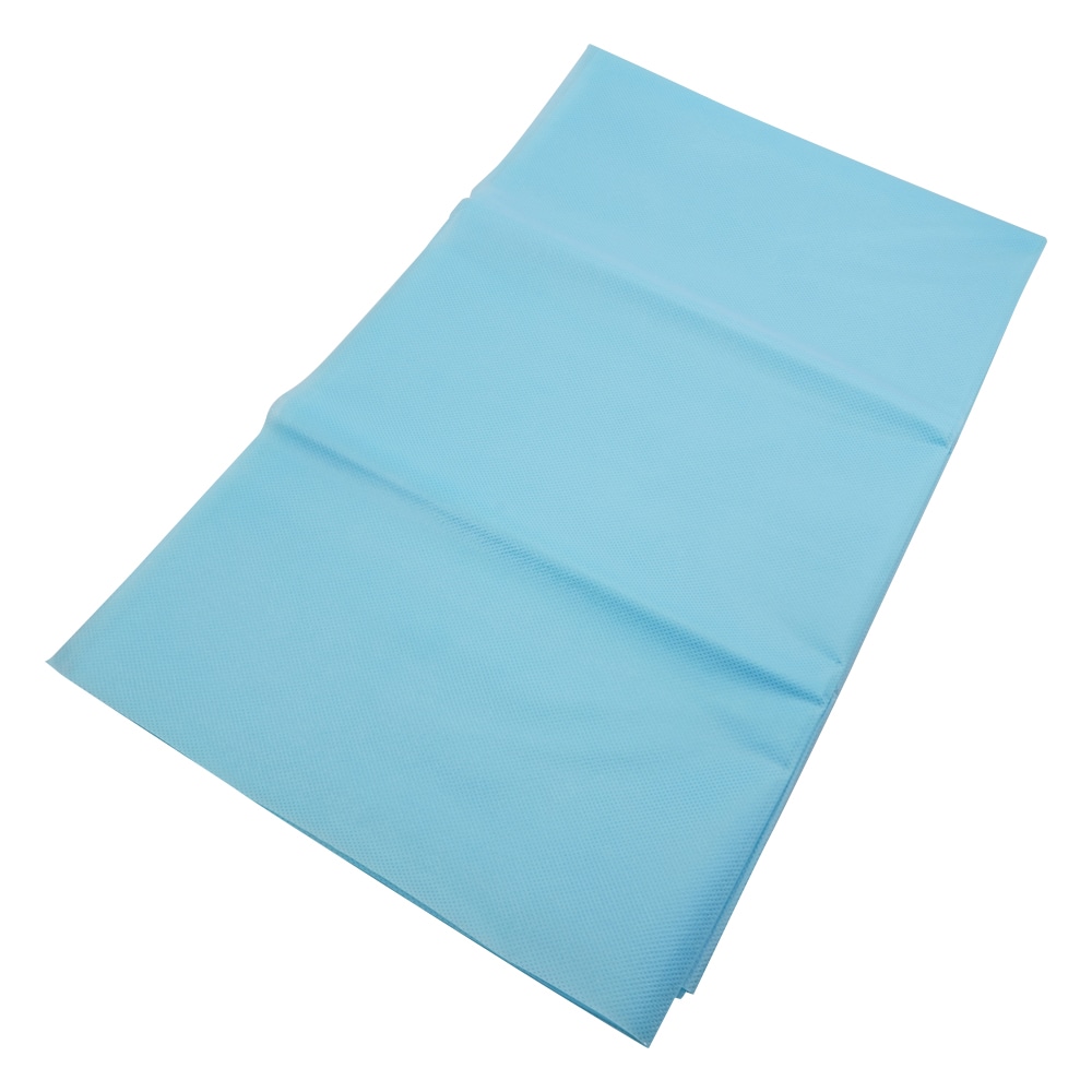 アズワン 防滑シーツ 1000×1200mm 1袋(10枚入) E5-1012B 1袋(ご注文単位1袋)【直送品】