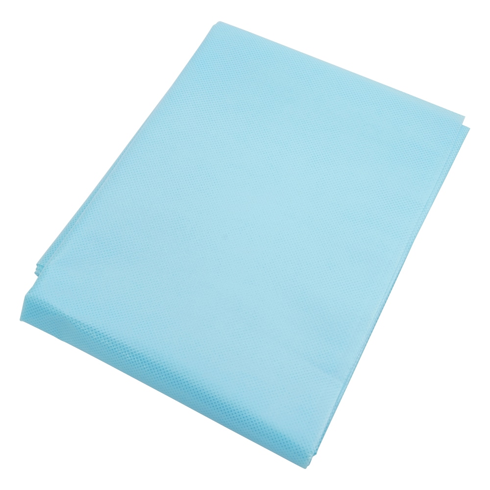 アズワン 防滑シーツ 1000×1500mm 1袋(10枚入) E5-1015B 1袋(ご注文単位1袋)【直送品】