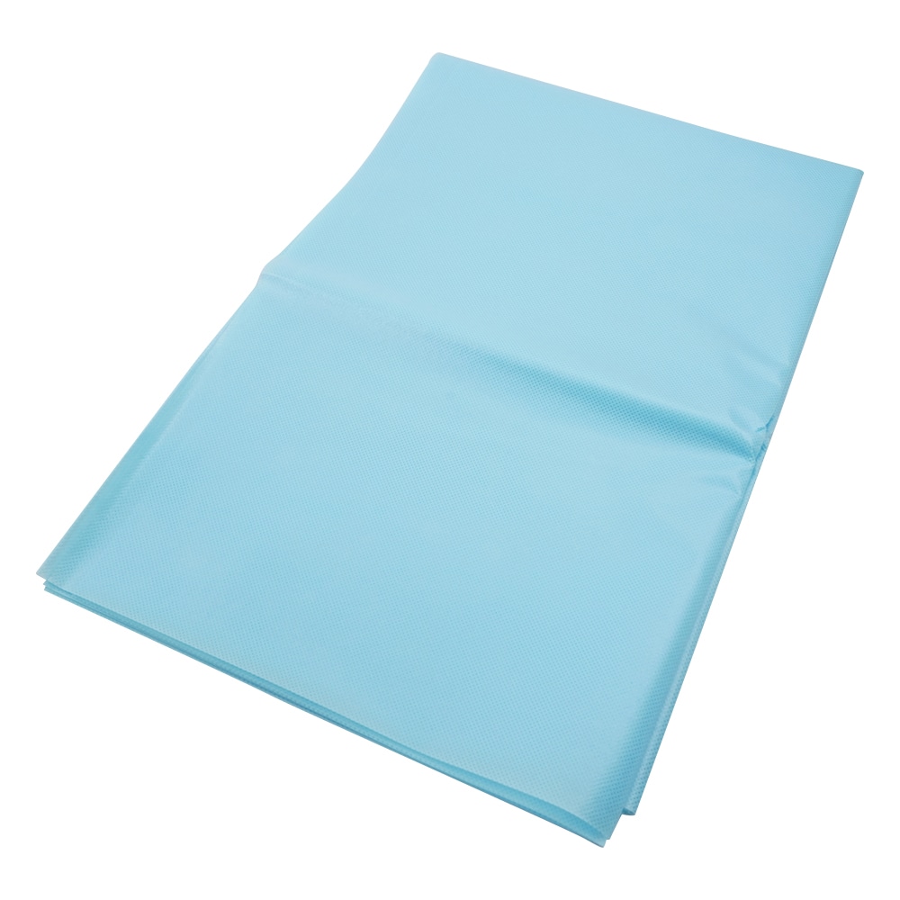 アズワン 防滑シーツ 800×2100mm 1袋(10枚入) E5-821B 1袋(ご注文単位1袋)【直送品】