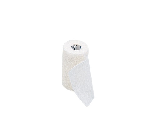 ニチバン 自着性伸縮包帯 セラオビ(TM) 75mm×5m 1箱(10巻入) No.755 1箱(ご注文単位1箱)【直送品】