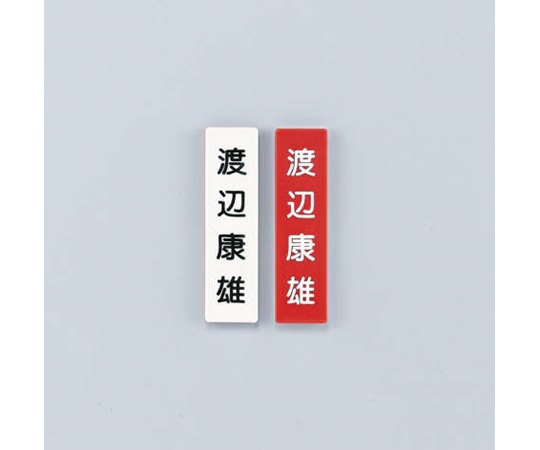 ライオン事務器 人名プレート 赤/白 社員一覧表 1パック(10枚入) No.20 1パック(ご注文単位1パック)【直送品】
