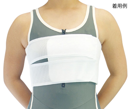 アシスト ライトバンド・ホワイト 胸・腹・腰部兼用固定帯　L 1個（ご注文単位1個）【直送品】