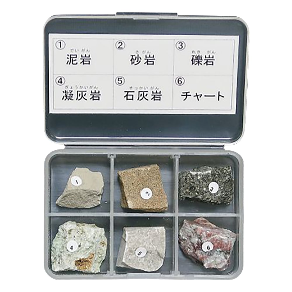 東京サイエンス 岩石標本(岩石標本堆積岩6種) 1セット(ご注文単位1セット)【直送品】