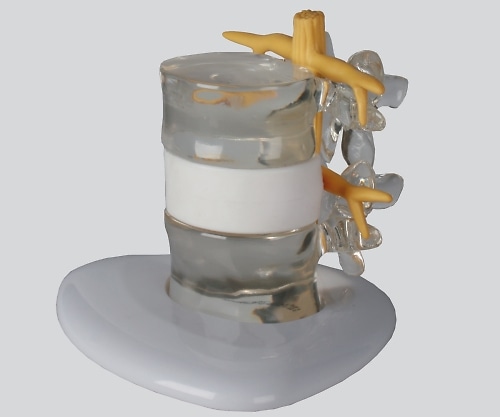 ナビス(アズワン) ヘルニアモデル 190×160×140 4400 1個(ご注文単位1個)【直送品】