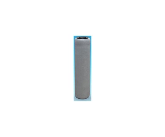 PALL (日本ポール) PSS (ガスケットシールタイプ) 10μMBS1001PAHH5 1本 (ご注文単位1本) 【直送品】
