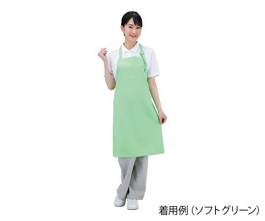 ワコウ 抗ウイルスエプロン Dr.Earth 首掛け オレンジE3500-6 1枚 (ご注文単位1枚) 【直送品】