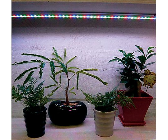 アズワン 植物育成補光用＋ディスプレイ用LED 1セット (ご注文単位1セット) 【直送品】