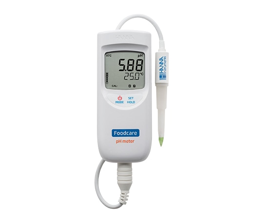 ハンナ インスツルメンツ 乳製品・半固形食品用pH/℃計HI99161D 1個 (ご注文単位1個) 【直送品】