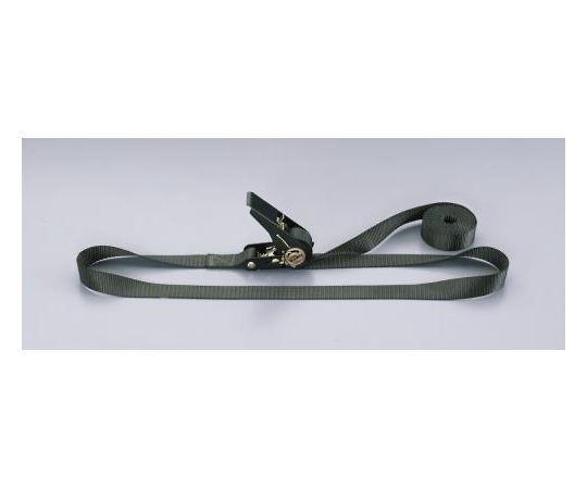 エスコ 25mmx3.9m/230kg ベルト荷締機 (エンドレス/OD) EA982B-6G 1個 (ご注文単位1個) 【直送品】