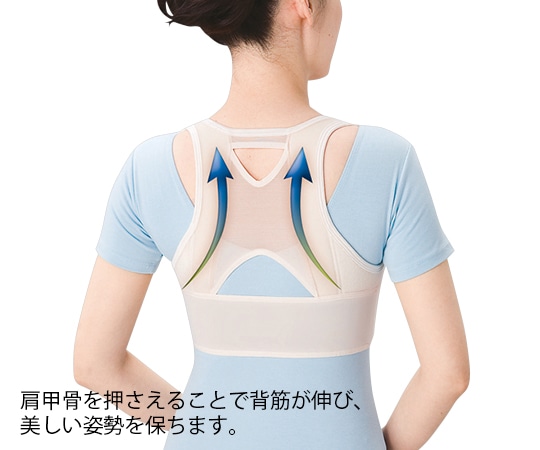 ハヤシ・ニット シャキッと姿勢補正ベルト 86~944806 L 1個 (ご注文単位1個) 【直送品】