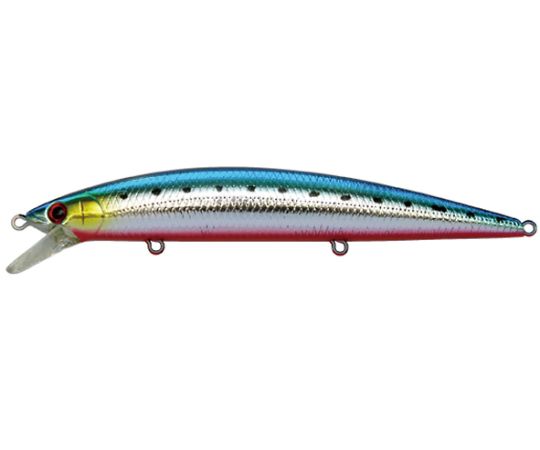 ジャクソン アスリート 12SS CRI アカハライワシ 1個 (ご注文単位1個) 【直送品】
