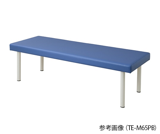 アズワン カラフル診察台 650×1900×500mm ライトブルーTE-L6519PB 1個 (ご注文単位1個) 【直送品】
