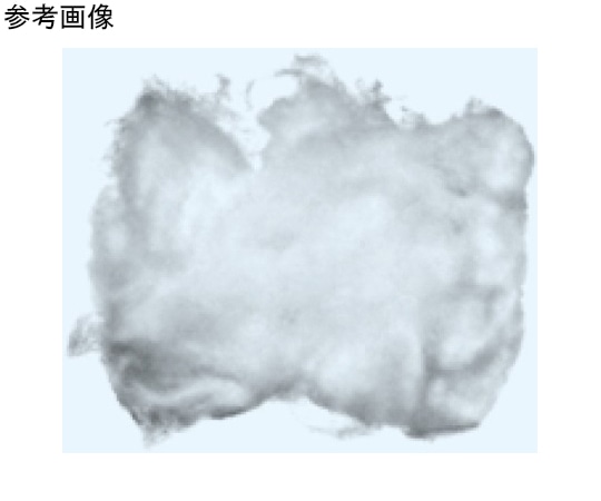日本理化学器械 ガラスウール 5～8μm 50g入GRW-05 1個 (ご注文単位1個) 【直送品】