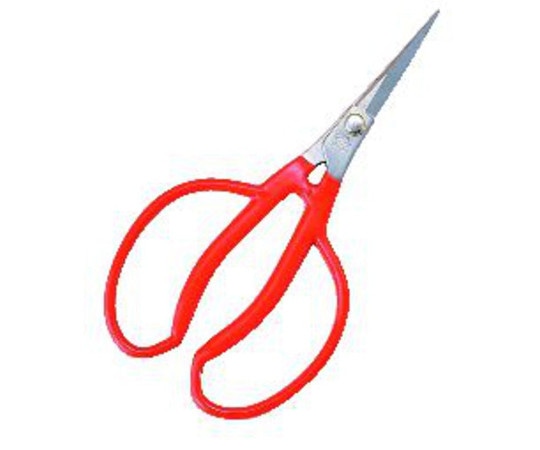 小林製鋏 越路 ステンレス ぶどう間引鋏 175mmK-14 1丁 (ご注文単位1丁) 【直送品】