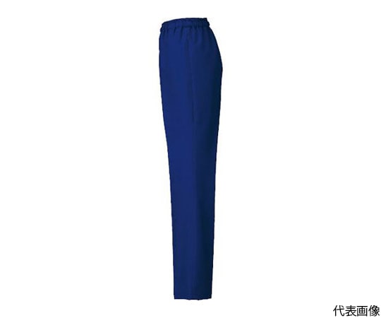 アイトス パンツ (男女兼用) ブルー 6L861402-006-6L 1着 (ご注文単位1着) 【直送品】