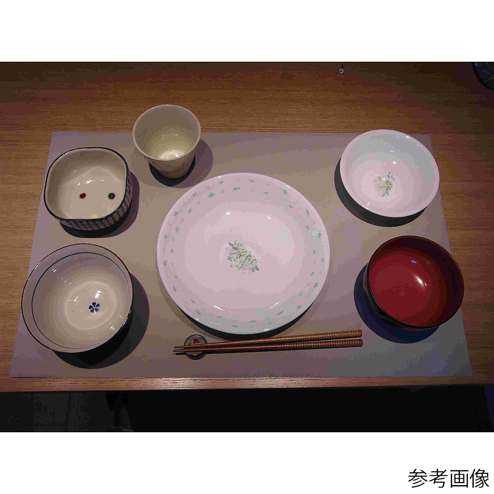 甲南医療器研究所 スベラナイト (滑り止めシート) 340×560×0.3mmB3-56 1枚 (ご注文単位1枚) 【直送品】