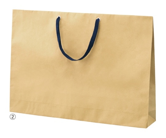ストア・エキスプレス ショルダーバッグ ベージュ 紺ひも 60×10×42 入数10枚 61-317-9-2 1セット（ご注文単位1セット）【直送品】