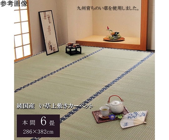 アズワン 純国産 い草 上敷き カーペット 糸引織 『梅花』 本間6畳(約286×382cm) 1010080015602 1個（ご注文単位1個）【直送品】