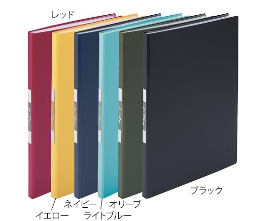 LIHITLAB ALTNA クリヤーブック 20P レッド N7751-3 1冊(ご注文単位1冊)【直送品】