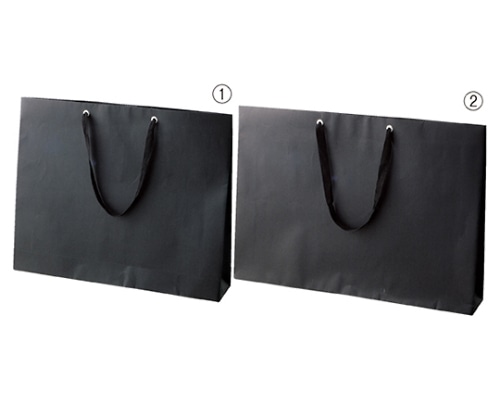 ストア・エキスプレス ショルダーバッグ 黒 60×10×42 入数50枚 61-317-11-4 1セット（ご注文単位1セット）【直送品】