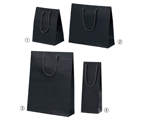 ストア・エキスプレス カラー手提げ紙袋 黒 33×10×29 入数100枚 61-313-3-6 1セット（ご注文単位1セット）【直送品】