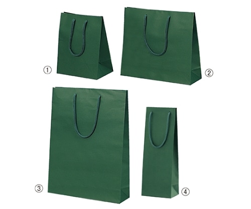 ストア・エキスプレス カラー手提げ紙袋 グリーン 33×10×29 入数100枚 61-313-5-6 1セット（ご注文単位1セット）【直送品】