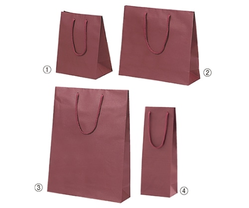 ストア・エキスプレス カラー手提げ紙袋 エンジ 13×9×36(ワイン用) 入数100枚 61-313-7-8 1セット（ご注文単位1セット）【直送品】