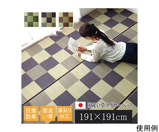アズワン 純国産 い草ラグカーペット 『Fブロック2』 グレー 約191×191cm(裏:ウレタン) 1050980133604 1個（ご注文単位1個）【直送品】
