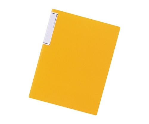 LIHITLAB クリヤーブック(スリムタイプ) 4橙 N7110-4 1冊(ご注文単位1冊)【直送品】