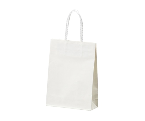 ストア・エキスプレス スムースバッグ 白無地 22×12×26.5 入数300枚 61-309-5-13 1セット（ご注文単位1セット）【直送品】