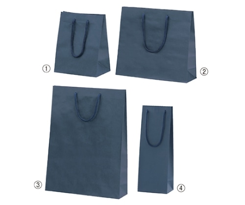 ストア・エキスプレス カラー手提げ紙袋 紺 33×10×29 入数100枚 61-313-4-6 1セット（ご注文単位1セット）【直送品】