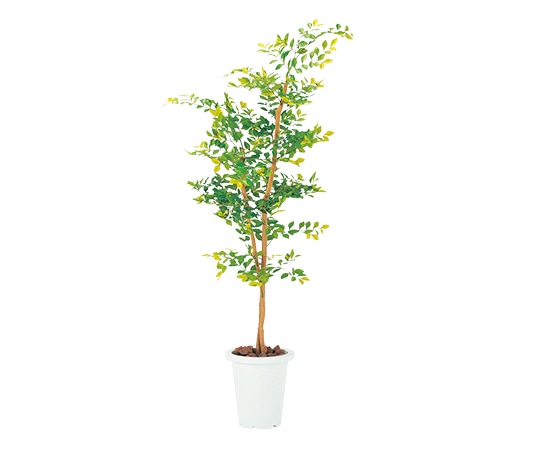 弘益 人工観葉植物 ゴールデンリーフ G-GL 1個(ご注文単位1個)【直送品】