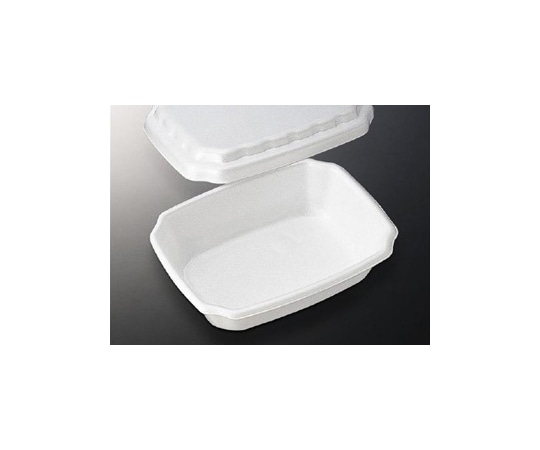 中央化学 弁当容器 かきあげ弁当 800枚 62034 1ケース(ご注文単位1ケース)【直送品】