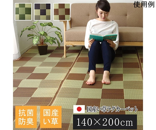 アズワン 純国産 い草ラグカーペット 『ブロック2』 ブラウン 約140×200cm 1050970062303 1個（ご注文単位1個）【直送品】