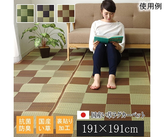 アズワン 純国産 い草ラグカーペット 『Fブロック2』 ブラウン 約191×191cm(裏:ウレタン) 1050980063604 1個（ご注文単位1個）【直送品】