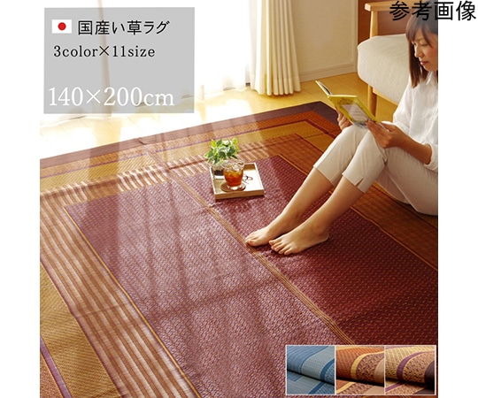 アズワン ラグ い草 シンプル モダン 『ランクス総色』 ネイビー 約140×200cm 1050790192303 1個（ご注文単位1個）【直送品】