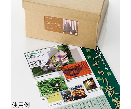 サンワサプライ 下地が透けないマルチラベル 名刺サイズ LB-EM24 1セット(ご注文単位1セット)【直送品】