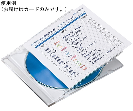 サンワサプライ プラケース用インデックスカード 薄手 罫線入 JP-IND13-100 1セット(ご注文単位1セット)【直送品】