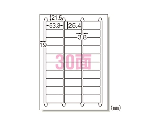 エーワン(A-ONE) マット紙 ラベルシール[インクジェット]A430面 29191 1パック(ご注文単位1パック)【直送品】