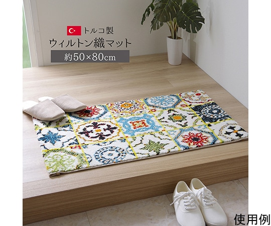 アズワン 玄関マット トルコ製 ウィルトン織り 約50×80cm 抗菌防臭 消臭機能 へたりにくい 1310960011701 1個(ご注文単位1個)【直送品】