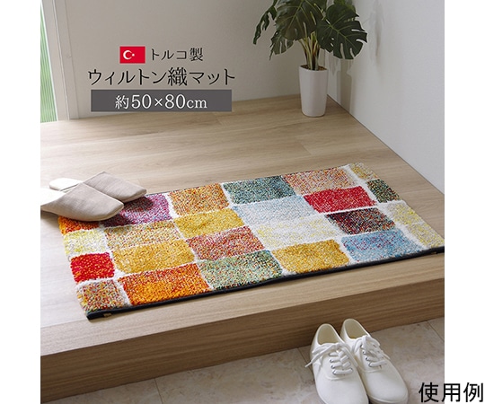 アズワン 玄関マット トルコ製 ウィルトン織り 約50×80cm 抗菌防臭 消臭機能 へたりにくい 1311070011701 1個(ご注文単位1個)【直送品】