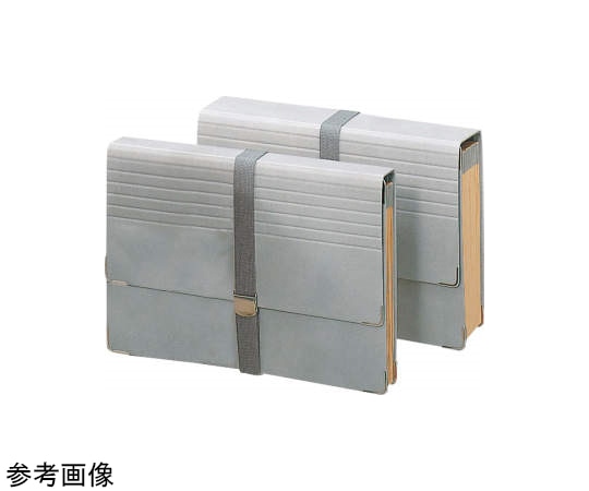 ライオン事務器 ドキュメントファイル DC-411N 1冊(ご注文単位1冊)【直送品】